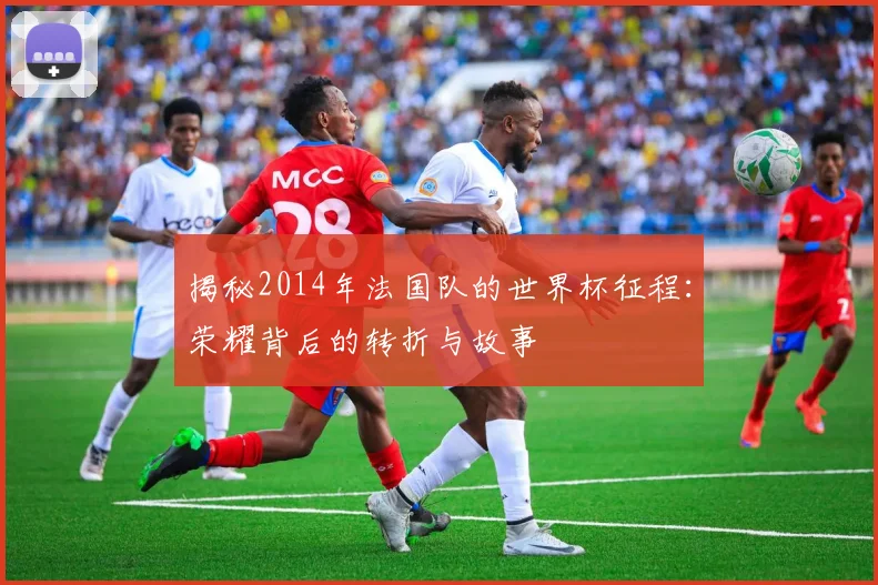揭秘2014年法国队的世界杯征程：荣耀背后的转折与故事