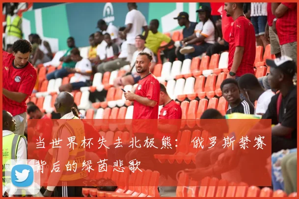 当世界杯失去北极熊：俄罗斯禁赛背后的绿茵悲歌