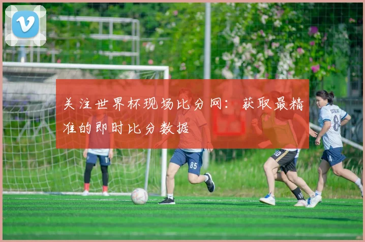 关注世界杯现场比分网：获取最精准的即时比分数据