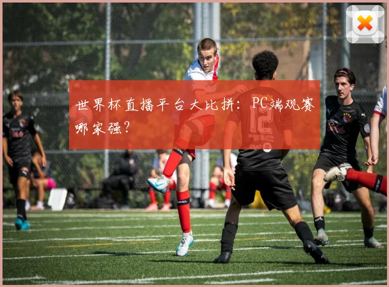 世界杯直播平台大比拼：PC端观赛哪家强？