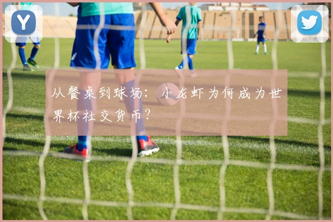 从餐桌到球场：小龙虾为何成为世界杯社交货币？