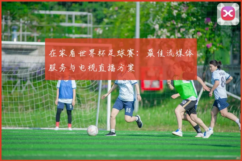 在家看世界杯足球赛：最佳流媒体服务与电视直播方案