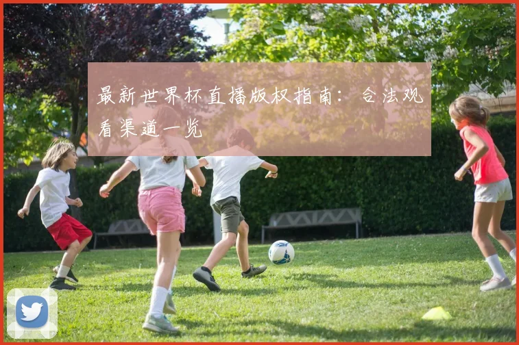 最新世界杯直播版权指南：合法观看渠道一览