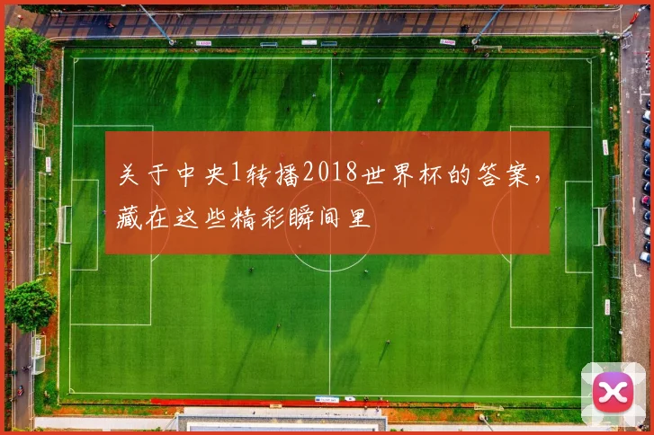 关于中央1转播2018世界杯的答案，藏在这些精彩瞬间里