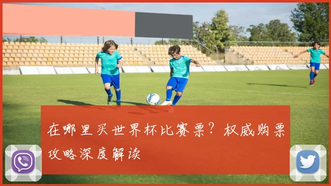 在哪里买世界杯比赛票？权威购票攻略深度解读