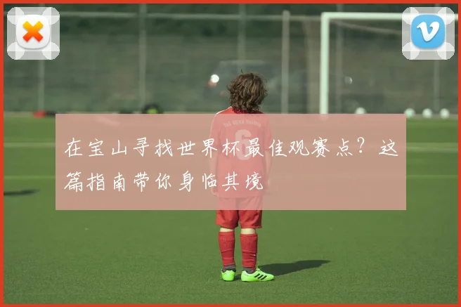 在宝山寻找世界杯最佳观赛点？这篇指南带你身临其境